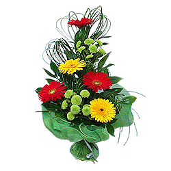 Ein Strauß aus Gerbera und Chrysanthemen — ein strahlender Strauß, der Freude und positive Energie schenkt.