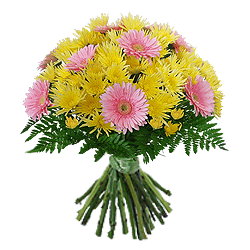 Ein Strauß aus Gerbera und Chrysanthemen — sorgt für gute Laune auf den ersten Blick
