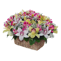 Blumenkorb mit Orchideen und Schleierkraut — leichte und edle Ästhetik