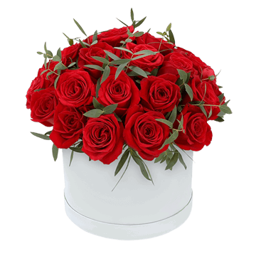 Rosas rojas en una caja de sombrero — símbolo de amor y elegancia