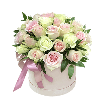Rosas rosas y blancas en una caja de sombrero — composición elegante y romántica