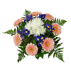 Strauß aus Iris, Gerbera und Chrysanthemen mit Grün — eine helle und harmonische Komposition