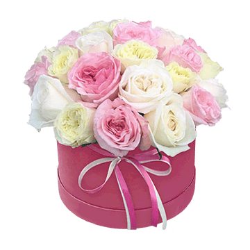 Rosas multicolores en caja sombrerera — composición armoniosa en suaves tonos pastel