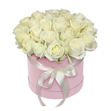 Caja con rosas blancas — composición refinada con frescura y nobleza