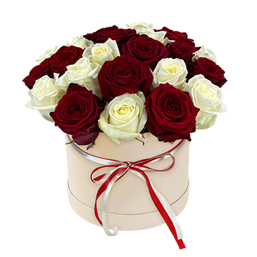 Rosas rojas y blancas en caja — composición expresiva con contraste clásico