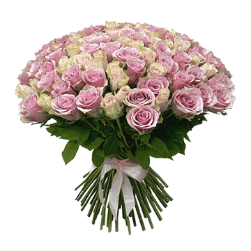 Bouquet of cream and pink roses — soft and elegant arrangement