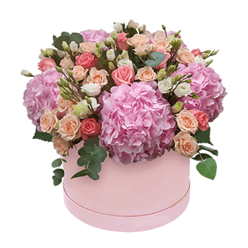 Hortensias con rosas, decoradas con eucalipto, en caja — arreglo refinado y elegante