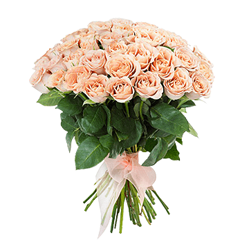 Bouquet of cream-pink roses — harmony of warmth and refined elegance