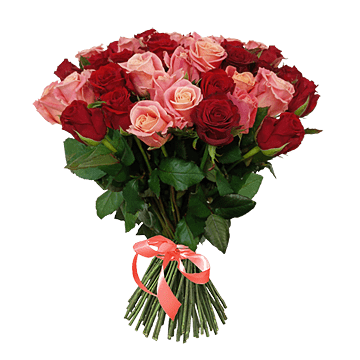 Bouquet of red and pink roses (60 cm) — harmony of passion and gentleness